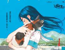 史上最强